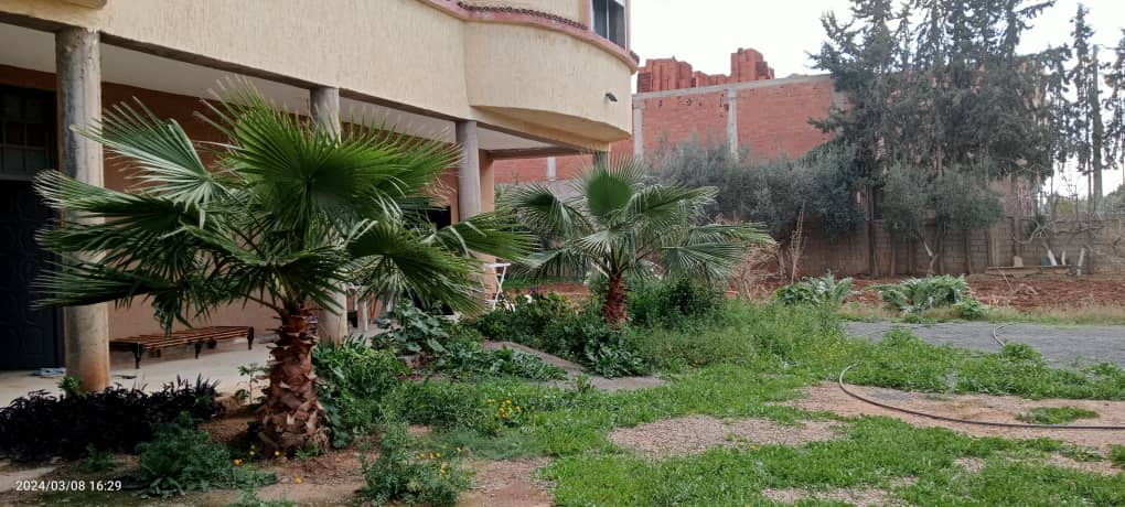 Tlemcen Maghnia Vente Maisons Villa  tage