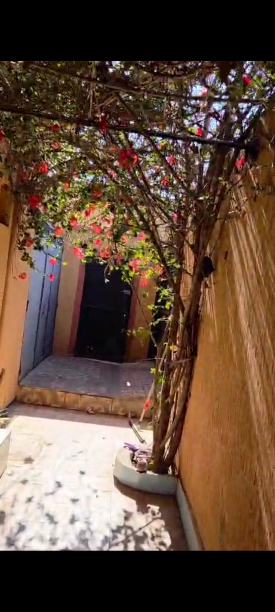 Tlemcen Ghazaouet Vente Maisons Grande proprit  sidi amar ghazaouet