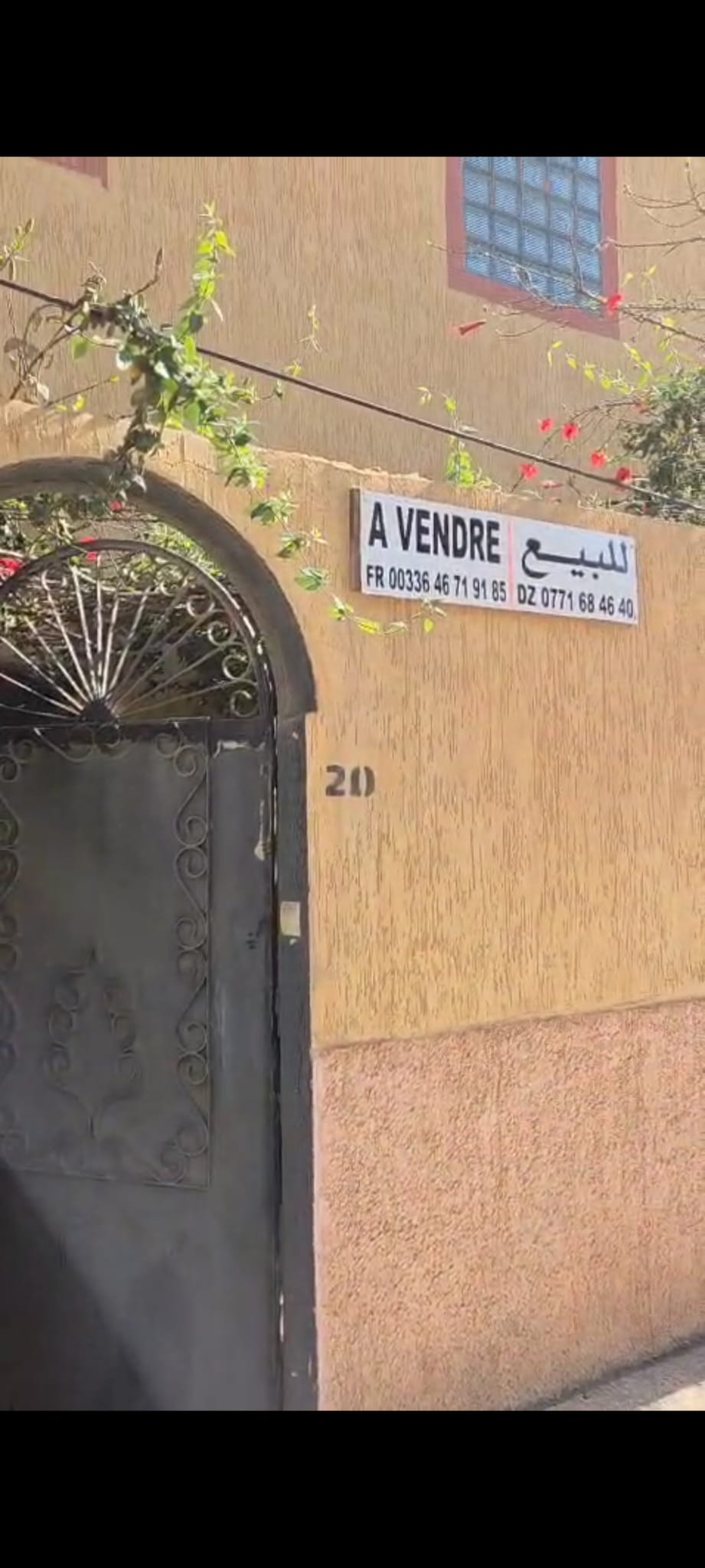 Tlemcen Ghazaouet Vente Maisons Grande proprit  sidi amar ghazaouet