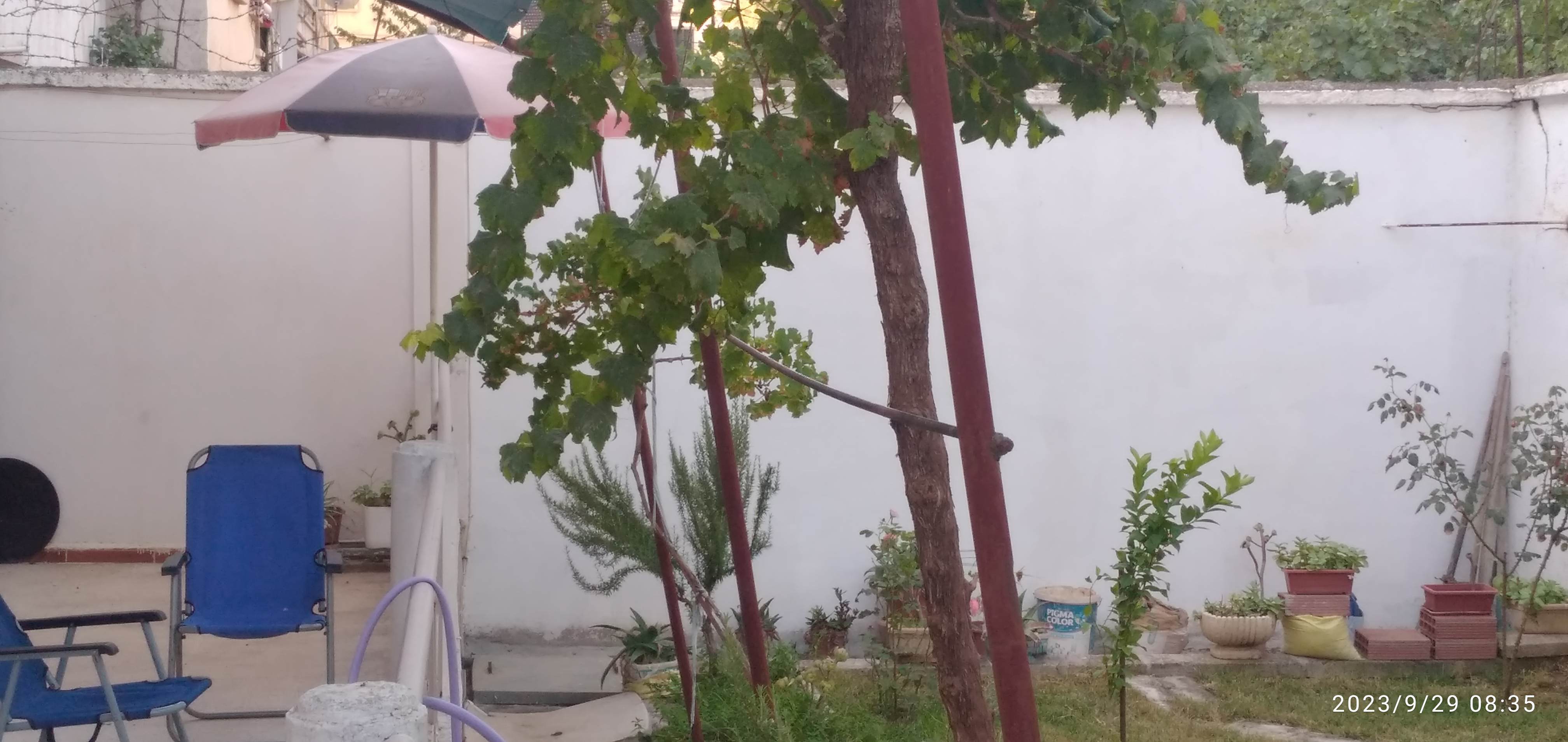 Vente Maisons - Algerie