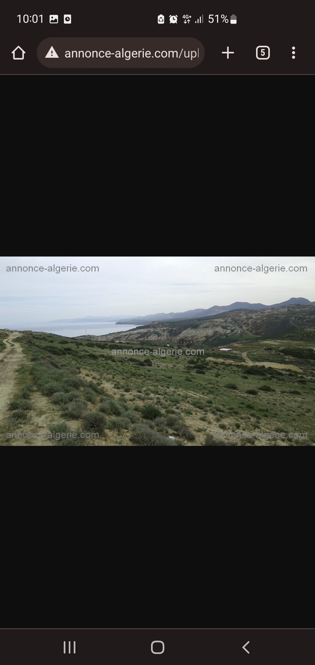 Vente Surfaces - Algerie